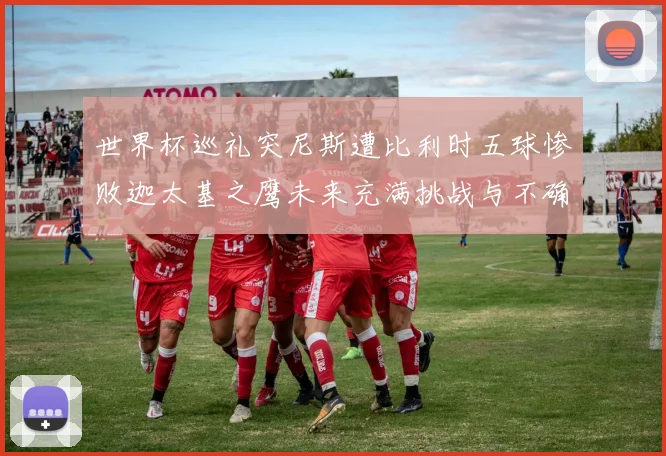 世界杯巡礼突尼斯遭比利时五球惨败迦太基之鹰未来充满挑战与不确定性